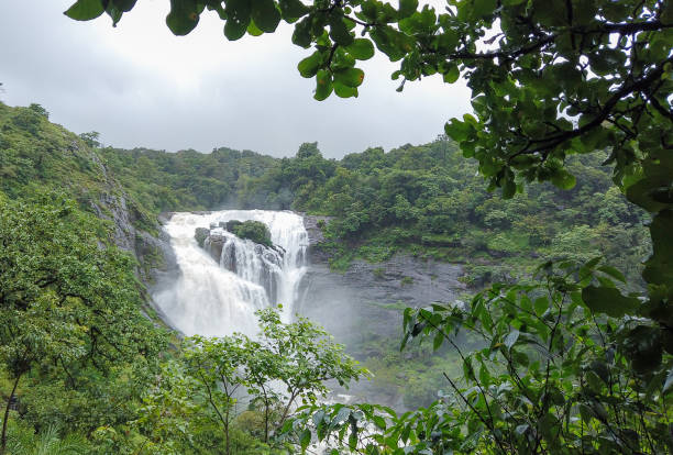 Karnataka Coorg